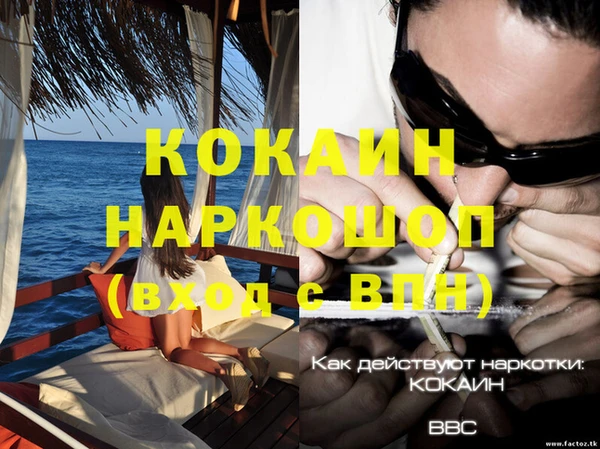 прущая мука Вяземский