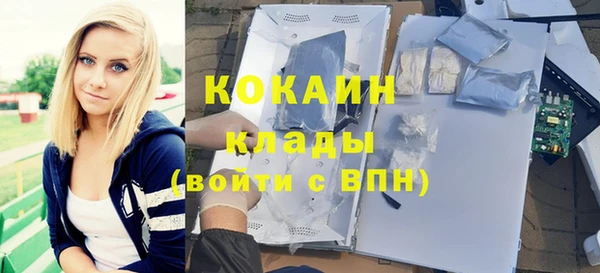 прущая мука Вяземский