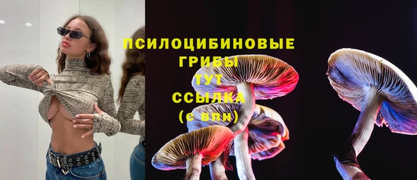 прущая мука Вяземский