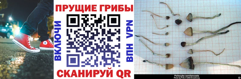 мега ссылки  Обнинск  Галлюциногенные грибы Magic Shrooms 